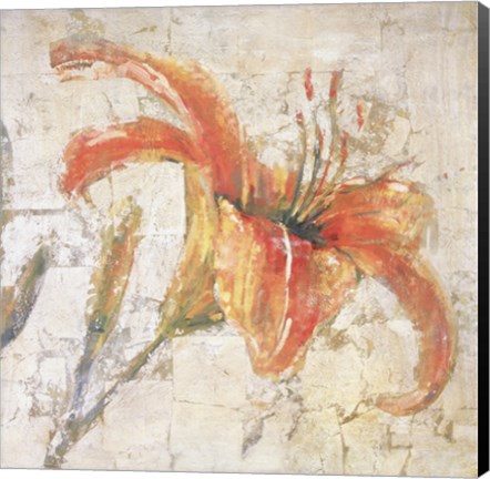 Framed Sorbet Lily I Print