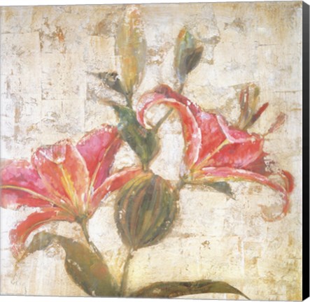 Framed Sorbet Lily II Print