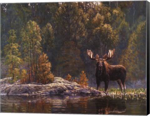 Framed North Country Moose Print