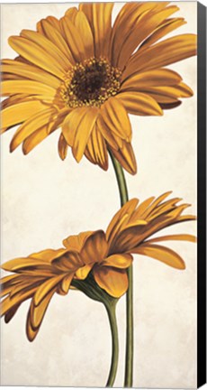 Framed Armonie in giallo Print