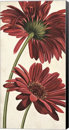 Framed Armonie in rosso Print