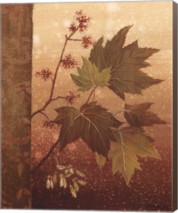 Framed Maple Leaves - mini Print
