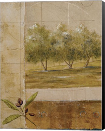 Framed Olive Groves I - CS Print