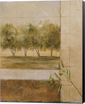 Framed Olive Groves II - CS Print