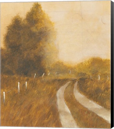 Framed Traveled Path II Print