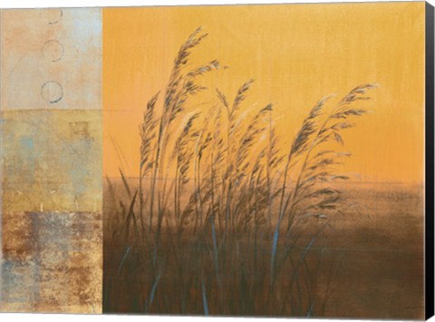 Framed Shimmering I - CS Print