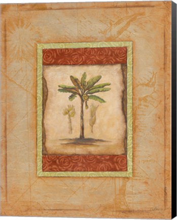 Framed Palm Botanical Study I - CS Print