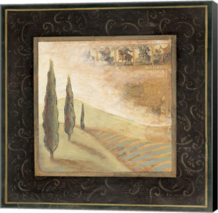 Framed Nature's Spirit I - CS Print
