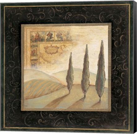Framed Nature's Spirit II - CS Print
