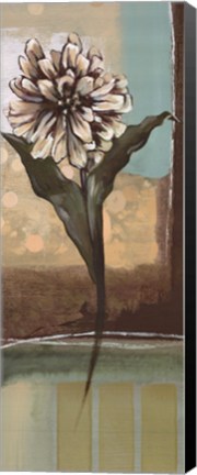 Framed Floral Splendor II Print