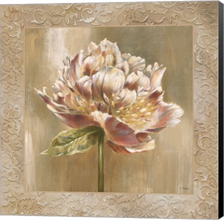 Framed Pivoines I - CS Print