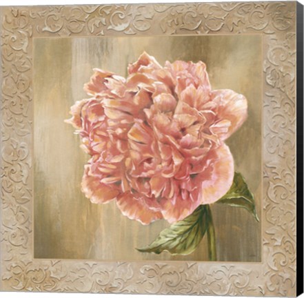 Framed Pivoines II - CS Print