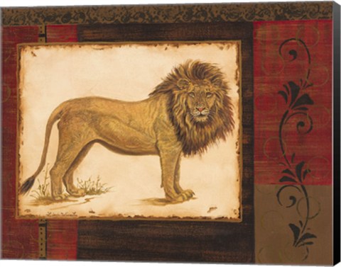 Framed Savanna Lion Print