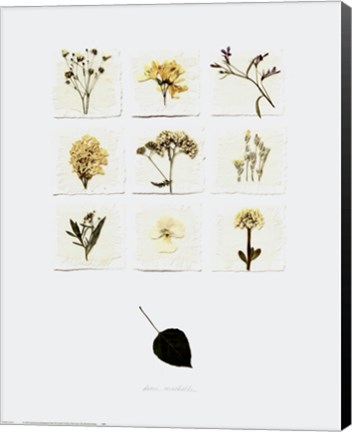 Framed White Lilacs Print