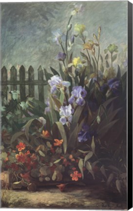 Framed Flower Garden Print