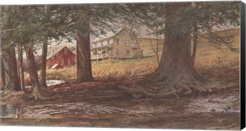 Framed Ruffled Waters Print