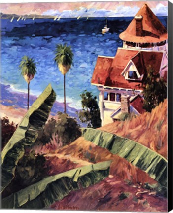 Framed Catalina Print