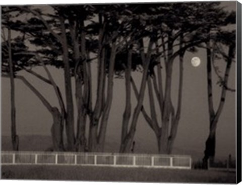 Framed Twilight and Reverie Print