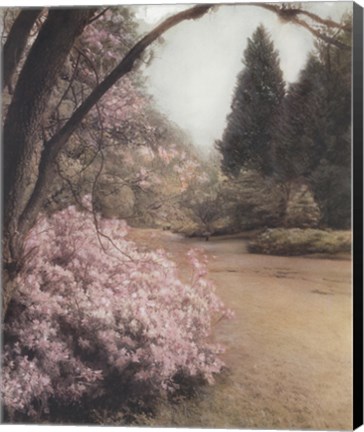 Framed Azalea Way Print