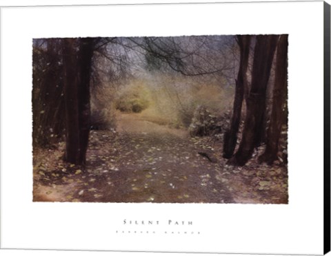 Framed Silent Path Print