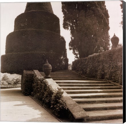 Framed Isola Bella Print