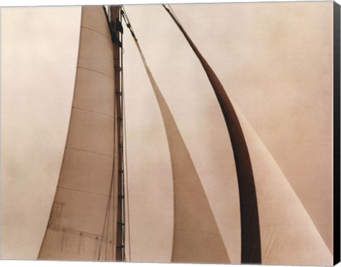 Framed Sail Away II Print