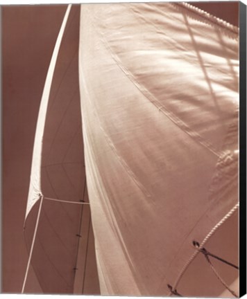 Framed Sail Away III Print