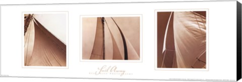 Framed Sail Away Trilogy Print