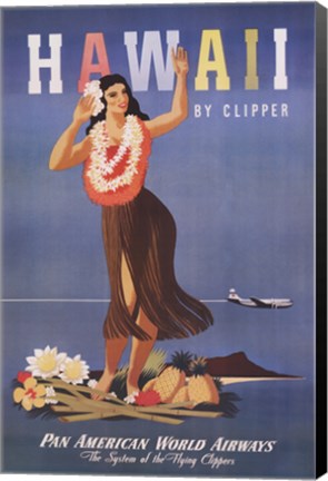 Framed Hawaii by Clipper Print
