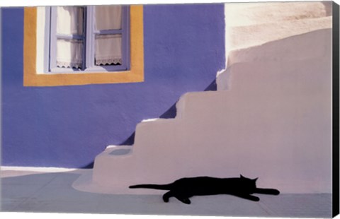 Framed In the Shade Print