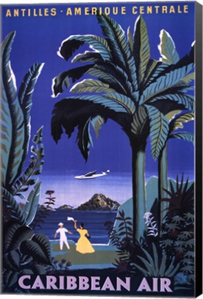 Framed Caribbean Air Print