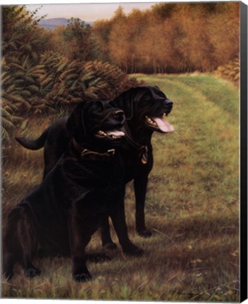 Framed Country Casuals Print