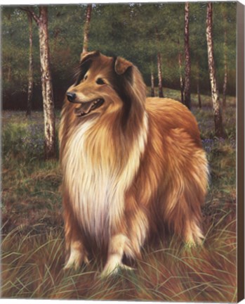 Framed Rough and Ready Print