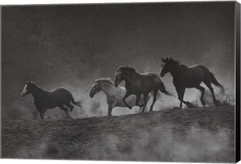 Framed Run with the Wind Print