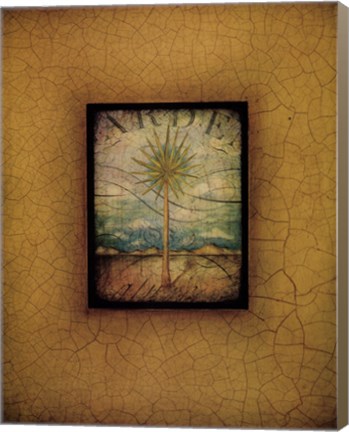 Framed Palma di Terra I Print