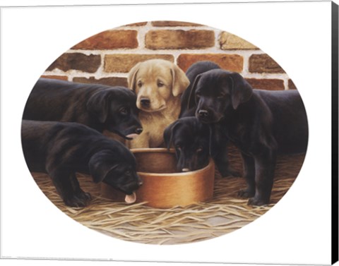 Framed Golden Girl Print