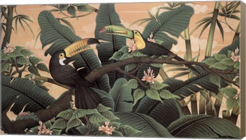 Framed Toucans Print