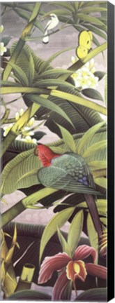 Framed Tropica II Print
