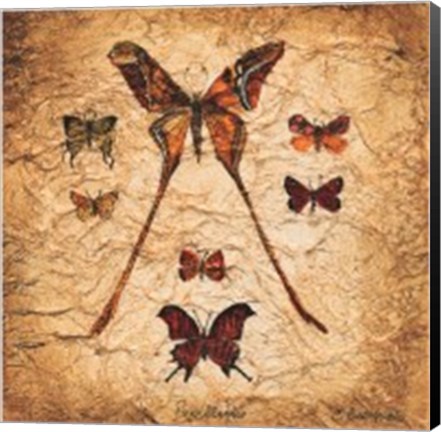 Framed Papillons IV Print