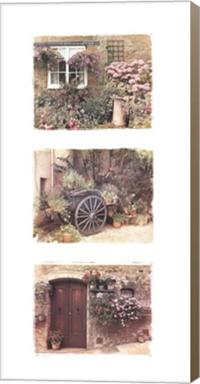 Framed Flowers of Provence Print