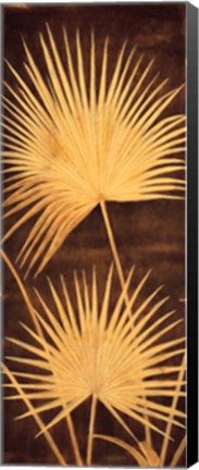 Framed Fan Palm Triptych II Print