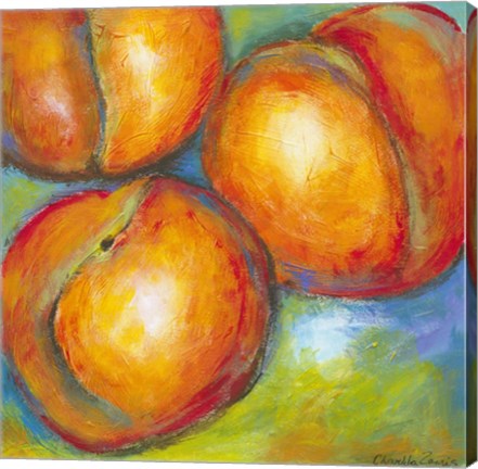 Framed Abstract Fruits II Print