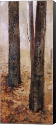 Framed Tranquil Forest II Print