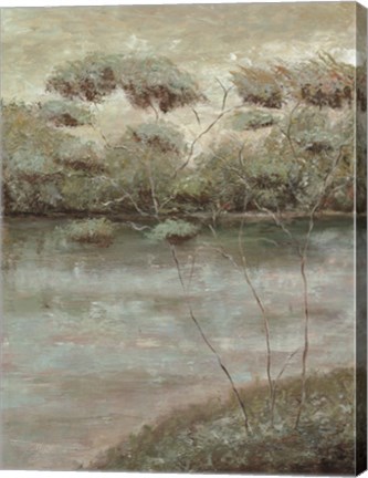 Framed Grafton Woods II Print