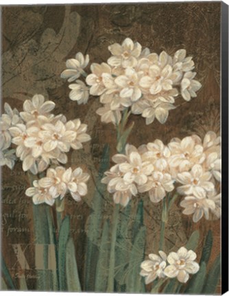 Framed Petit Jardin Narcissus Print
