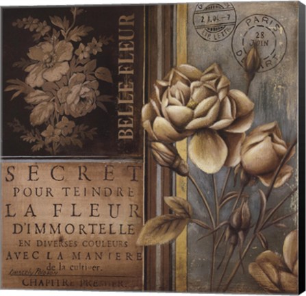 Framed Belle Fleur I Print