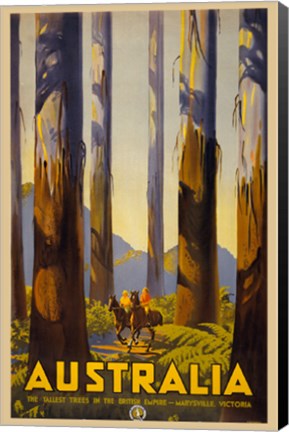 Framed Australia - Tallest Trees Print