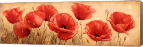 Framed Poppies Grace I Print