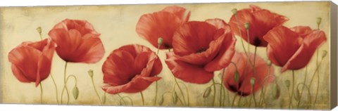 Framed Poppies Grace II Print