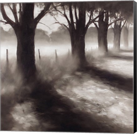 Framed Path by Field Print